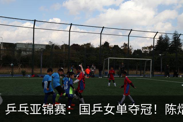 乒乓亚锦赛：国乒女单夺冠！陈熠3-0横扫张本美和，首次摘得金牌