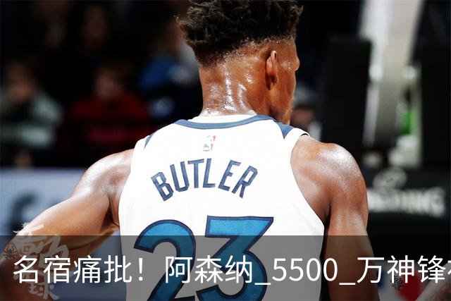 名宿痛批！阿森纳 5500 万神锋被彻底用废！阿尔特塔离谱毁人