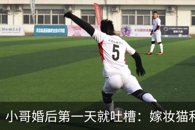 小哥婚后第一天就吐槽：嫁妆猫和彩礼猫天天干架，互殴了整整3年！网友笑疯：这不就是新时代《家有儿女》吗！