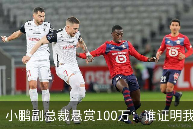 小鹏副总裁悬赏100万：谁证明我们炒作就给谁