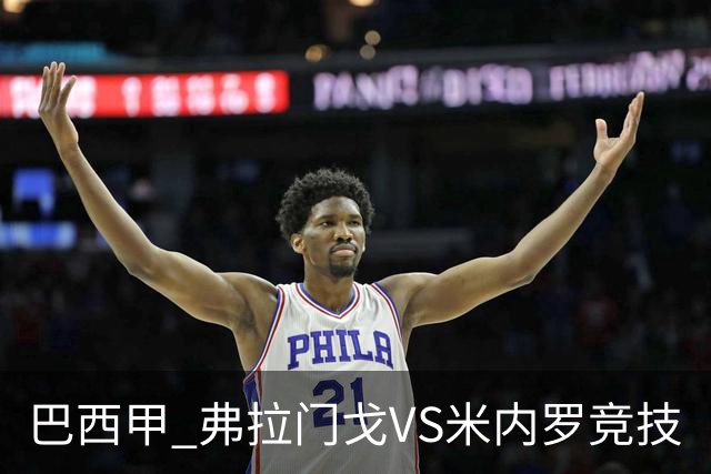 巴西甲 弗拉门戈VS米内罗竞技