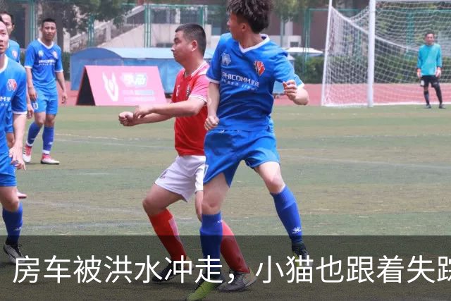 房车被洪水冲走，小猫也跟着失踪，8天后它突然回家了，全家人都哭了