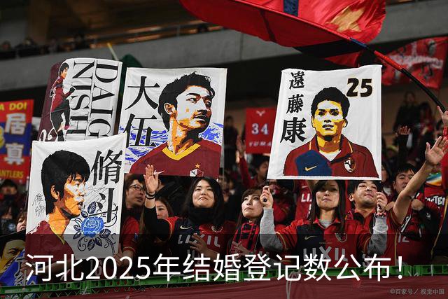 河北2025年结婚登记数公布！
