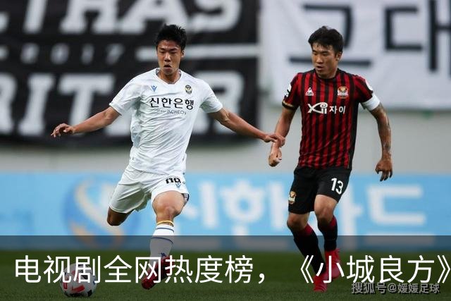 电视剧全网热度榜，《小城良方》跌至第二，第一热度高达74.99