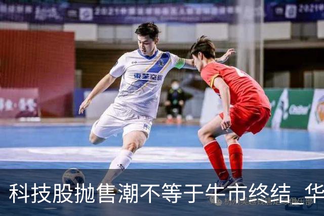 科技股抛售潮不等于牛市终结 华尔街策略师：基本面依然强劲 回调或是买入良机