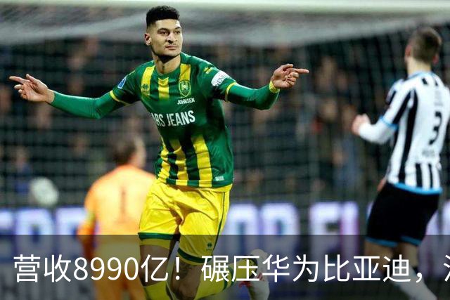 营收8990亿！碾压华为比亚迪，江苏首富夫妻太低调