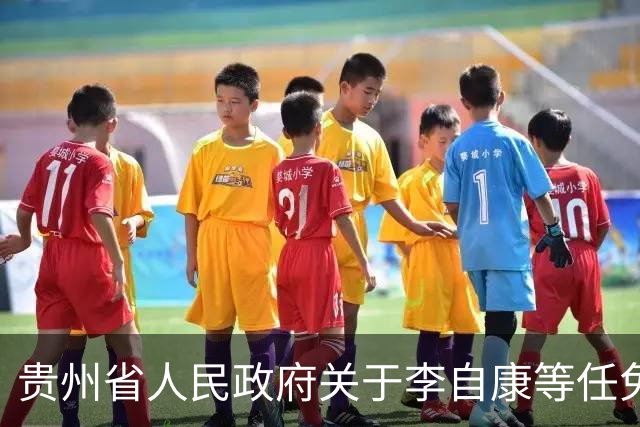 贵州省人民政府关于李自康等任免职的通知