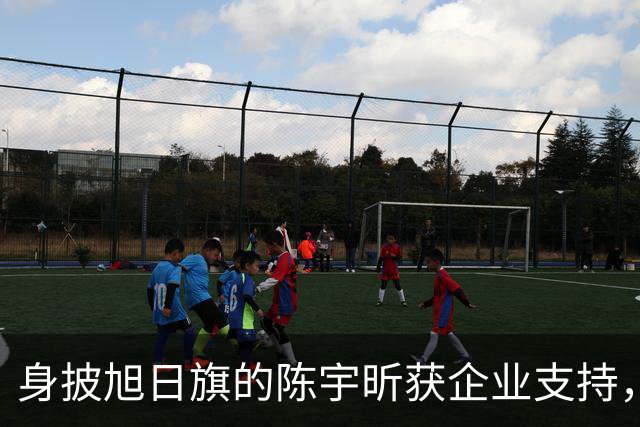 身披旭日旗的陈宇昕获企业支持，汤家凤怒批：必须严惩，露头就打