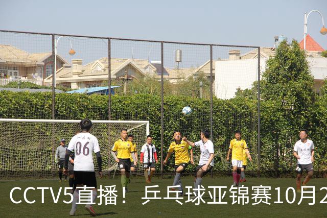 CCTV5直播！乒乓球亚锦赛10月25日赛程：温瑞博战张本智和，蒯曼战张本美和，国乒冲4冠