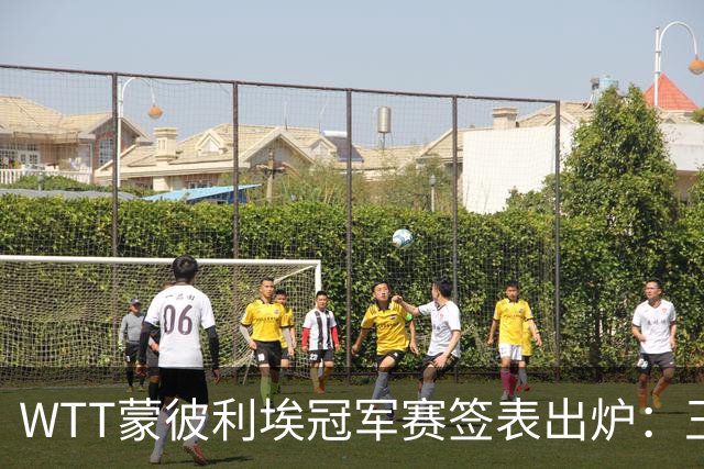 WTT蒙彼利埃冠军赛签表出炉：王曼昱首轮对阵汉娜·高达，孙颖莎对阵卢茨，林诗栋将战林钟勋